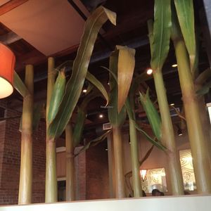 cool, artistic interior.. giant corn stalks! at Food Dance in Kalamazoo