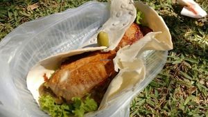 Delicious Wrap with mock meat and tofu at Fast & Vegan in Santa Cruz