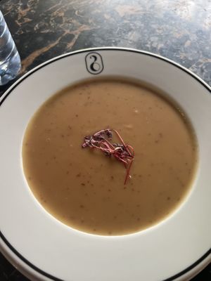 Daily soup  at 26 Vegan Food Project in Lisbon