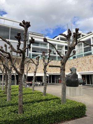   at Kindness Vegan in Darlinghurst