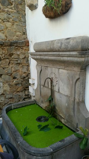 Behind the shop at Honest Chocolate Shop in Cape Town