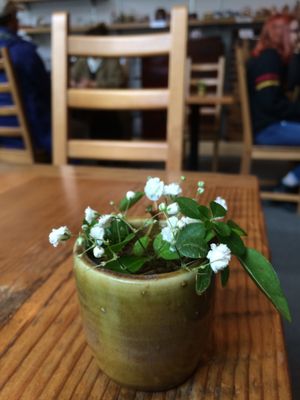 Lovely table top mini flowers at Behind the Museum Cafe in Portland