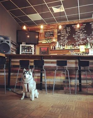 nesterka.bar at Nesterka in Grodno