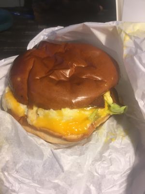 Sad looking king burger delivered by wolt  at Rainbow - Ibn Gvirol in Tel Aviv