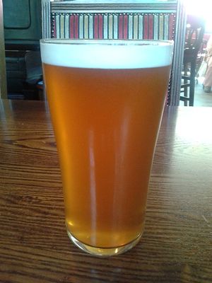 Shuggy boat vegan ale at The Ship Inn in Newcastle Upon Tyne