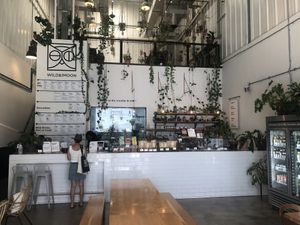 Interior   at Wild & The Moon - Al Quoz in Dubai