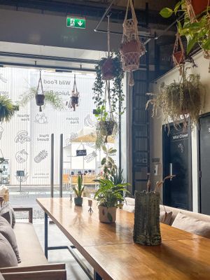   at Wild & The Moon - Al Quoz in Dubai