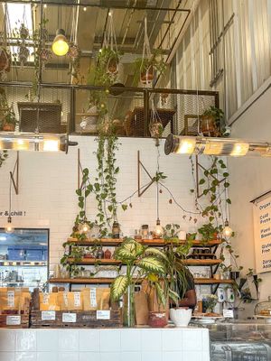   at Wild & The Moon - Al Quoz in Dubai