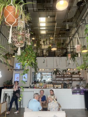   at Wild & The Moon - Al Quoz in Dubai