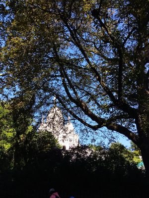 A few tables outside on the street where you can see the Sacre Coeur through the trees at Sweet Rawmance in Paris