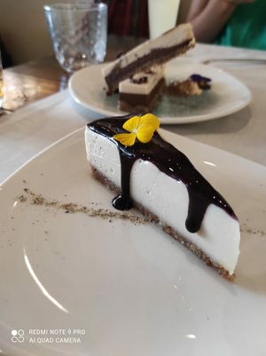  at Level Veggie Bistro in Madrid