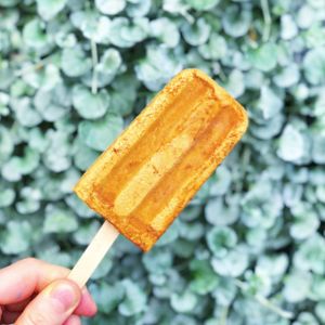 vegan popsicles  at The Juice Place in Charlottesville