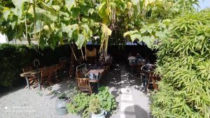  at Bons Tempos in Vila Real