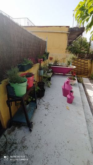  at Bons Tempos in Vila Real