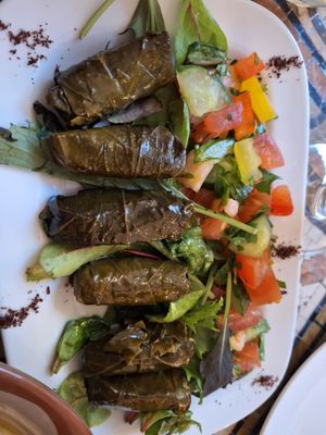 Vine leaves at The Cedar Tree in Dublin