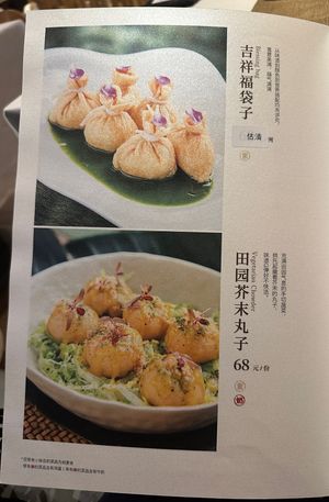 Menu  at Ruolanci Vegetarian 若蘭慈素食馆(欢乐海岸店) in Shenzhen