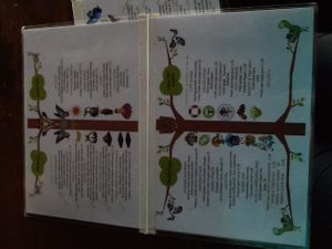 Some of the menu items at Think Green Vegan Cafe in Koh Rong