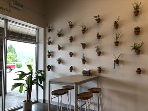  at Juice Boone  in Boone