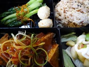 tofu Bento set  at Jiu Pin Lian in Central Singapore