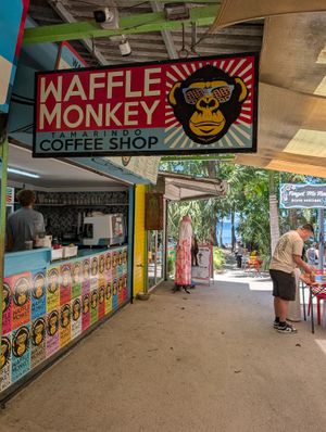  at Waffle Monkey in Tamarindo