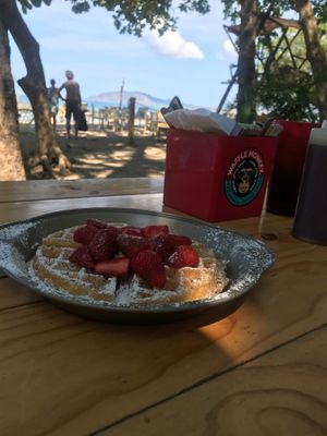 Fruit of the day waffle at Waffle Monkey in Tamarindo