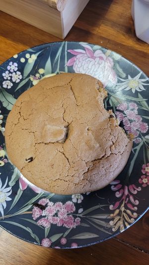 Cookie at Vitality Kitchen in Tauranga