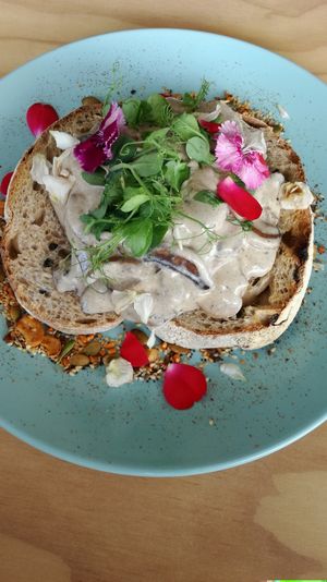 creamy mushrooms are huge and filling  at Vitality Kitchen in Tauranga