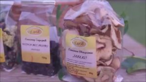 Apple crisps at AWB in Handzlowka