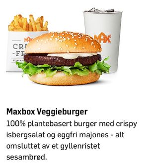 Vegetarian burger  at MAX - Gronland in Oslo