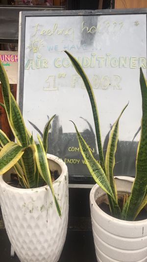 Aircon upstairs  at Royal Sai Gon  in Ho Chi Minh City