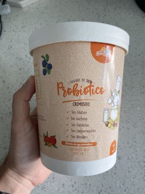 Soy yogurt  at Naturlandia in Lima