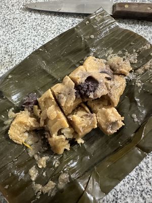   at Naturlandia in Lima