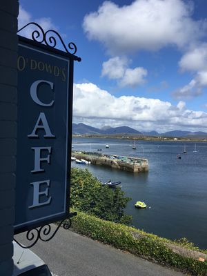 beautiful views upstairs at O Dowds Cafe in Roundstone