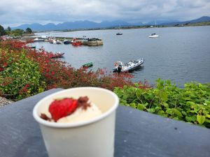 They do vegan ice cream which you can take away at O Dowds Cafe in Roundstone