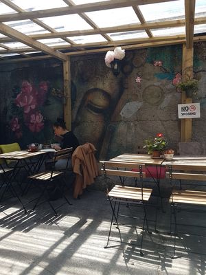 Outside area at The Secret Garden in Galway