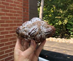 Pecan croissant at Lagusta's Luscious Cafe in New Paltz