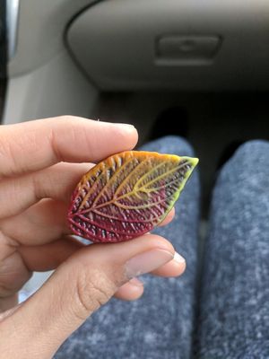 chocolate at Lagusta's Luscious Cafe in New Paltz