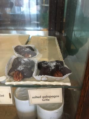 Salted Galapagos turtle at Lagusta's Luscious Cafe in New Paltz