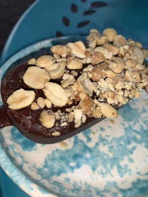 Peanut butter icecream bar  at Lagusta's Luscious Cafe in New Paltz