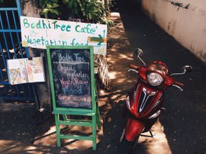 like! at Bodhi Tree Cafe in Chiang Mai