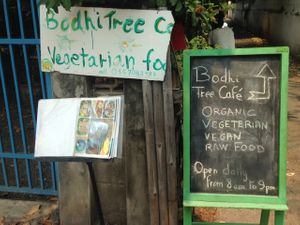 The cafe is after a few winding streets. These signs help find the way. at Bodhi Tree Cafe in Chiang Mai