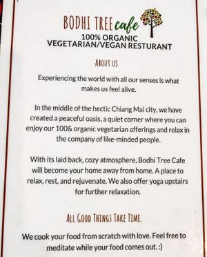 Menu informational page at Bodhi Tree Cafe in Chiang Mai