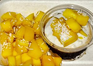 Raw Vegan "Cheesecake" to go. I wouldn't call it "cheesecake", but would call it scrumptious. Absolutely delectable. at Bodhi Tree Cafe in Chiang Mai