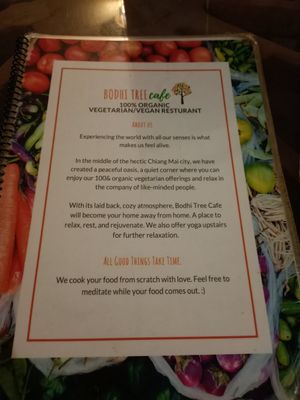  at Bodhi Tree Cafe in Chiang Mai