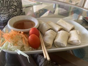 Spring Rolls   at Bodhi Tree Cafe in Chiang Mai