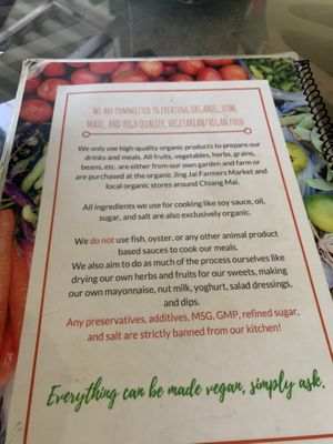   at Bodhi Tree Cafe in Chiang Mai