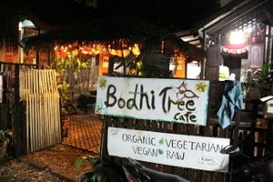 Bodhi Tree from the small alley behind De Naga hotel.  at Bodhi Tree Cafe in Chiang Mai