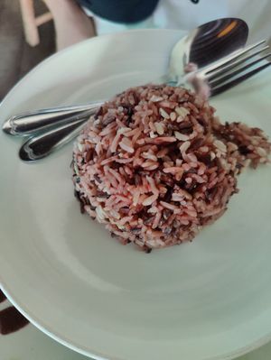Rice at Bodhi Tree Cafe in Chiang Mai
