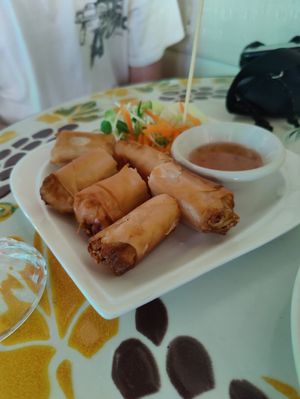 Spring rolls at Bodhi Tree Cafe in Chiang Mai