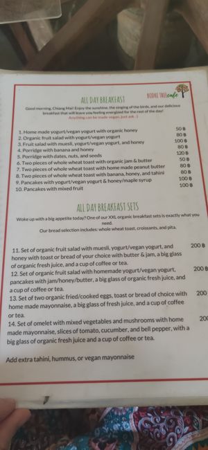  at Bodhi Tree Cafe in Chiang Mai